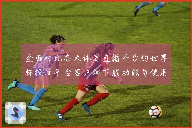 全面对比各大体育直播平台的世界杯投注平台客户端下载功能与使用体验