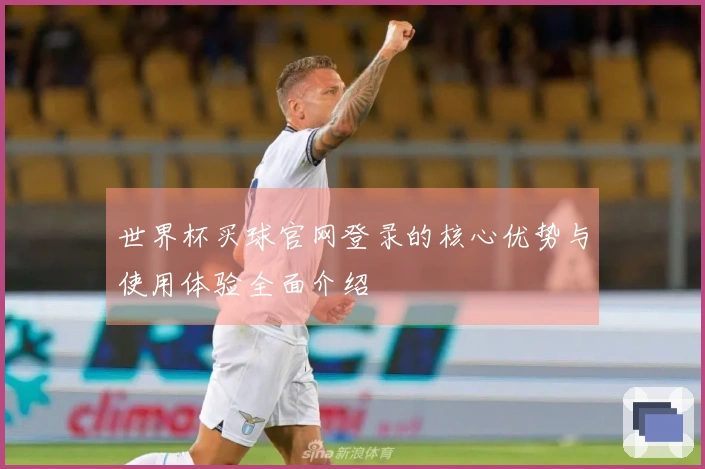 世界杯买球官网登录的核心优势与使用体验全面介绍