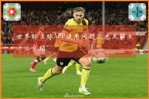 世界杯买球APP使用问题汇总及解决方法介绍
