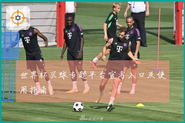 世界杯买球专题平台官方入口及使用指南