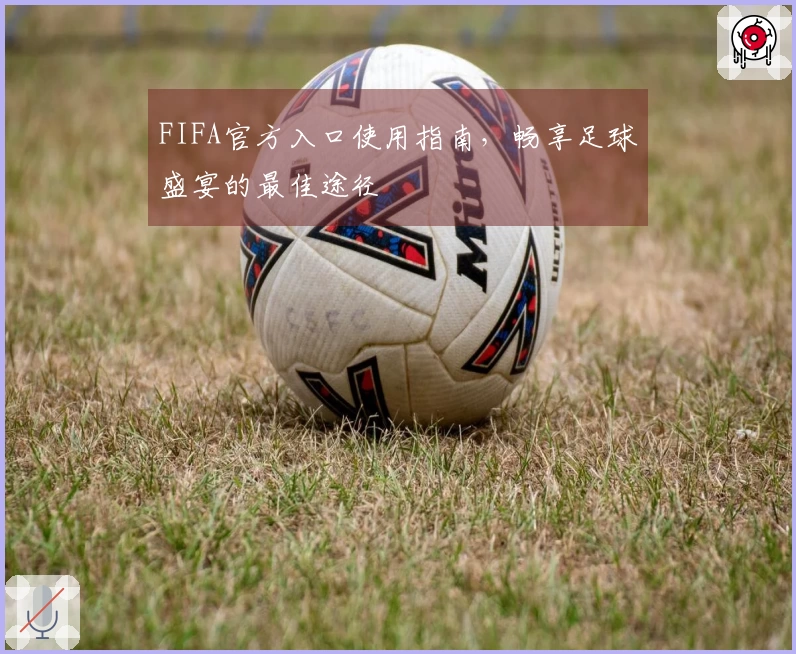 FIFA官方入口使用指南，畅享足球盛宴的最佳途径