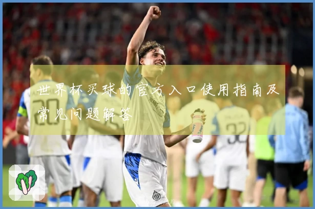 世界杯买球的官方入口使用指南及常见问题解答