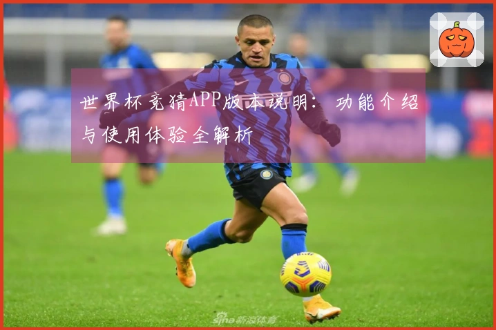 世界杯竞猜APP版本说明：功能介绍与使用体验全解析