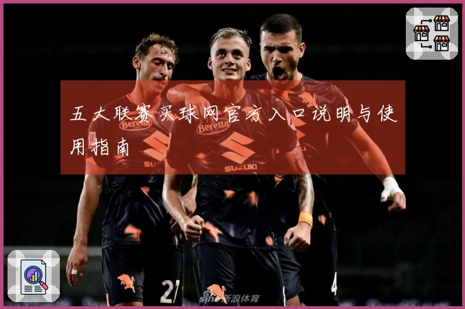 五大联赛买球网官方入口说明与使用指南