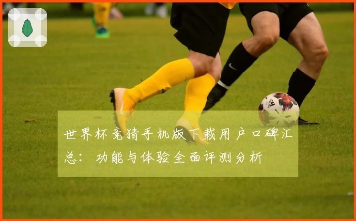 世界杯竞猜手机版下载用户口碑汇总：功能与体验全面评测分析