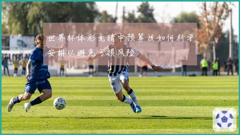 世界杯体彩竞猜中预算该如何科学安排以避免亏损风险