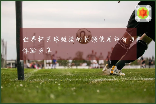 世界杯买球链接的长期使用评价与体验分享