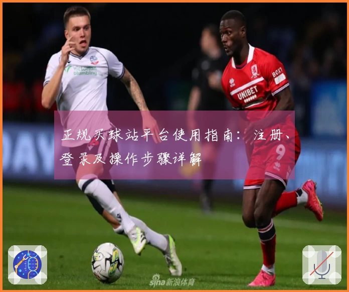 正规买球站平台使用指南：注册、登录及操作步骤详解