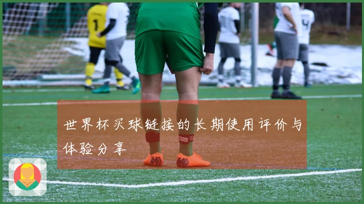 世界杯买球链接的长期使用评价与体验分享