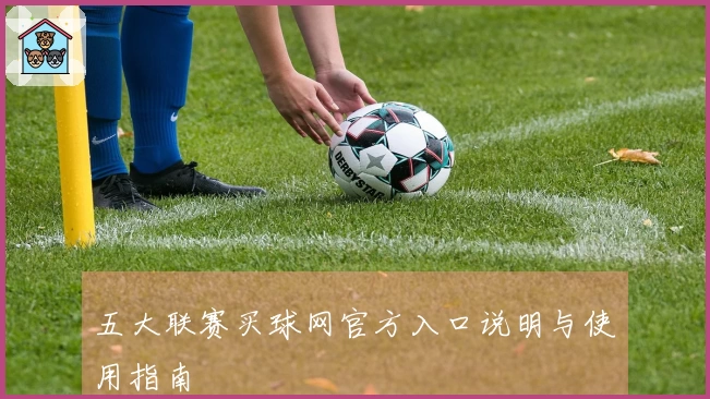 五大联赛买球网官方入口说明与使用指南