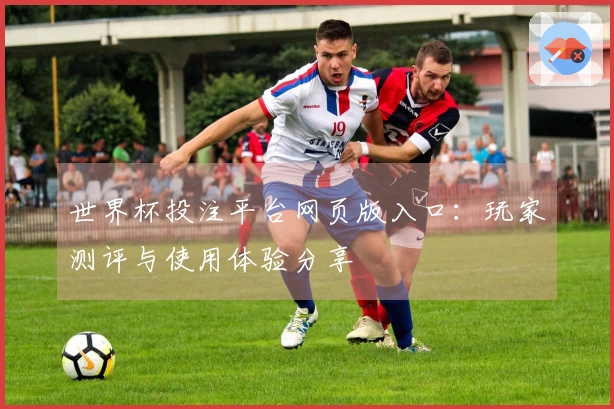 世界杯投注平台网页版入口:玩家测评与使用体验分享