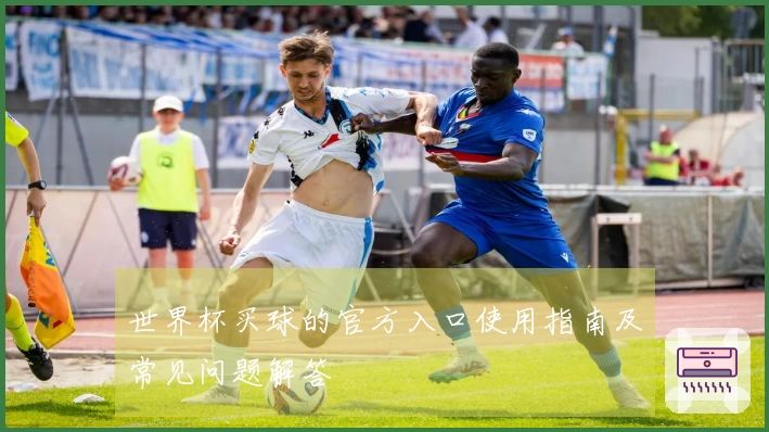 世界杯买球的官方入口使用指南及常见问题解答