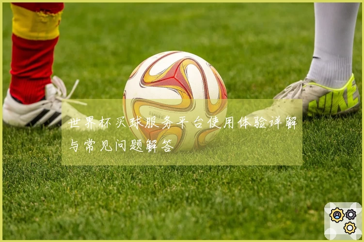 世界杯买球服务平台使用体验详解与常见问题解答