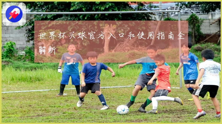 世界杯买球官方入口和使用指南全解析