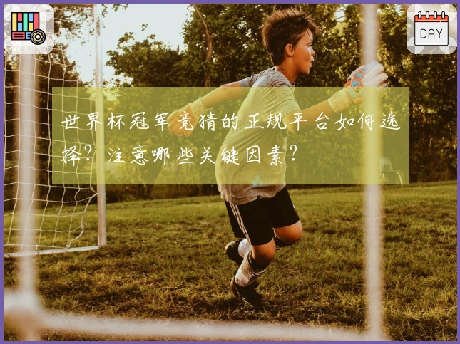 世界杯冠军竞猜的正规平台如何选择?注意哪些关键因素?